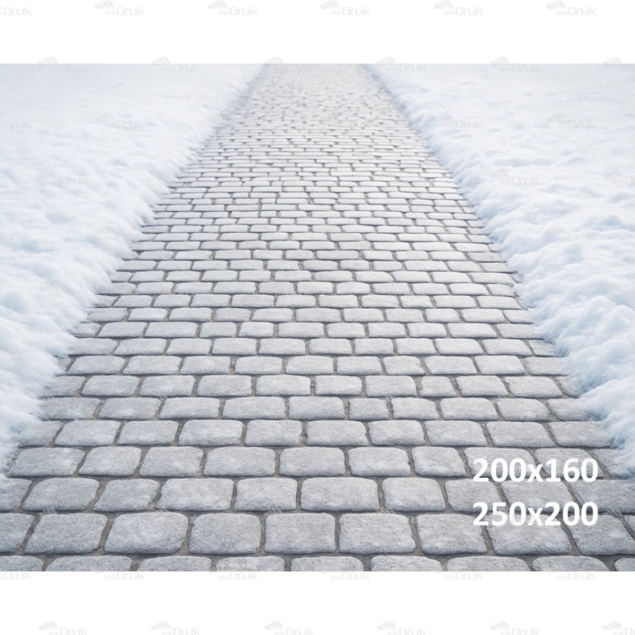 Tło fotograficzne – Zimowa brukowana ścieżka | 3656